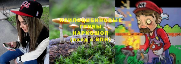 ECSTASY Новодвинск