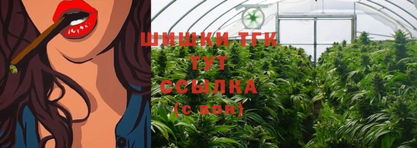 спайс Алексин