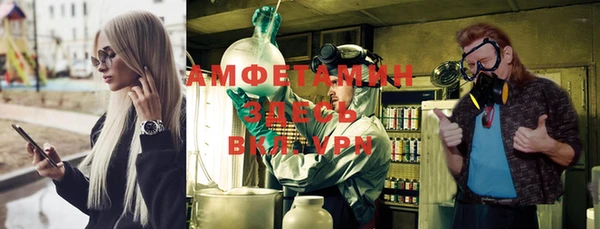 ПСИЛОЦИБИНОВЫЕ ГРИБЫ Новозыбков