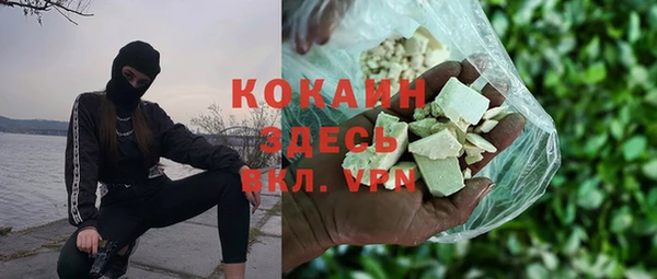 ПСИЛОЦИБИНОВЫЕ ГРИБЫ Новозыбков