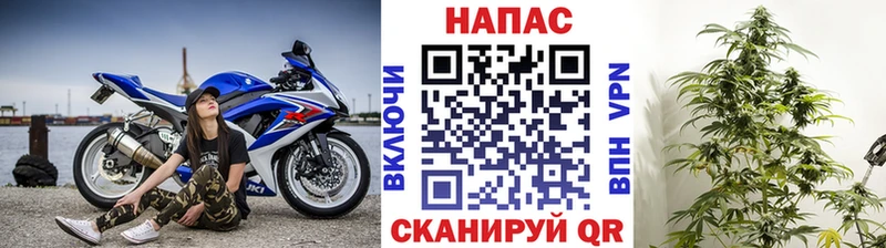 МАРИХУАНА Amnesia  где купить наркоту  Алзамай 